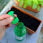 Bottle Top Waterer for satering seeds and seedlings